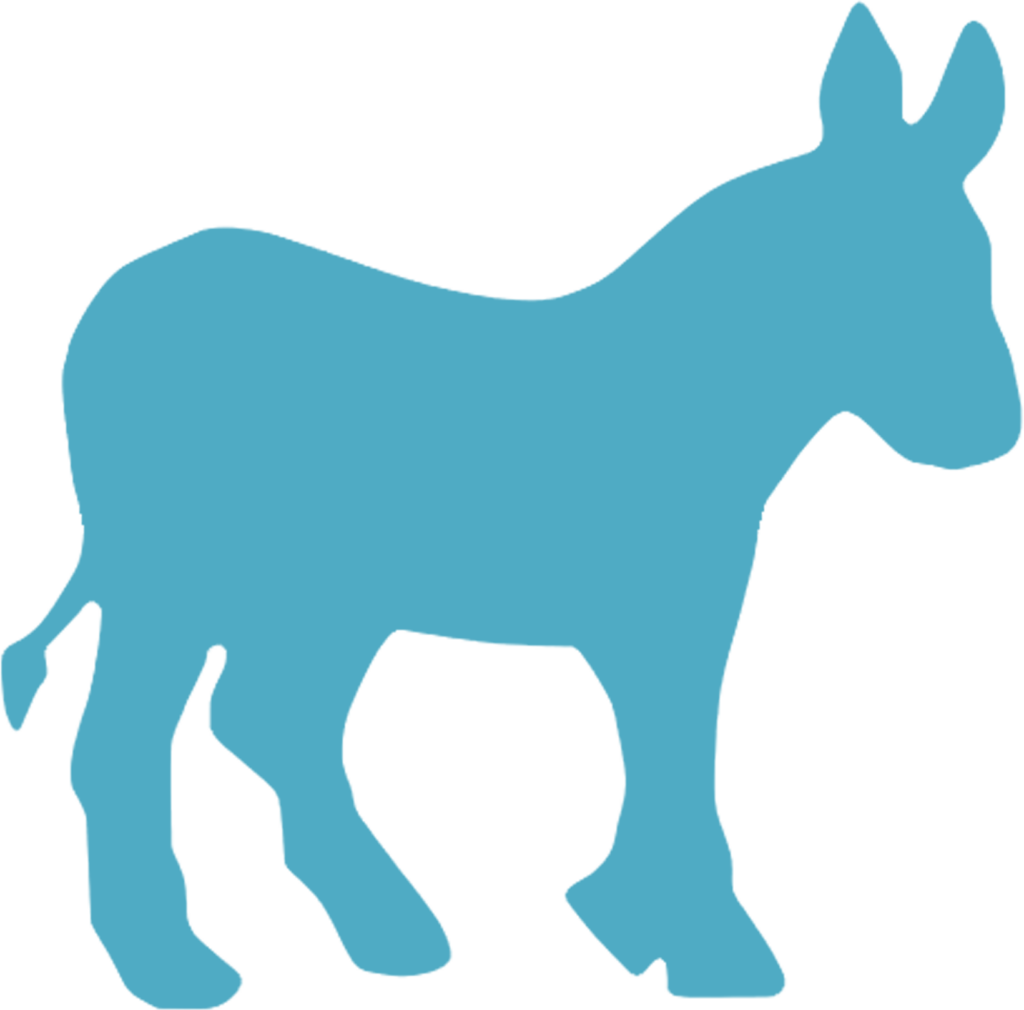 DPLC Donkey